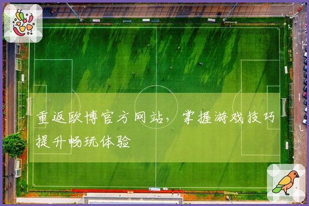 重返欧博官方网站，掌握游戏技巧提升畅玩体验