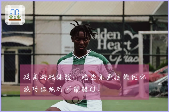 提高游戏体验，这些乐鱼性能优化技巧你绝对不能错过！